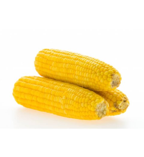 Yellow Sweet Corn, (1 Piece) – மஞ்சள் இனிப்பு சோளம்