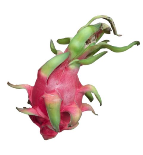 Dragon Fruit – டிராகன் பழம்