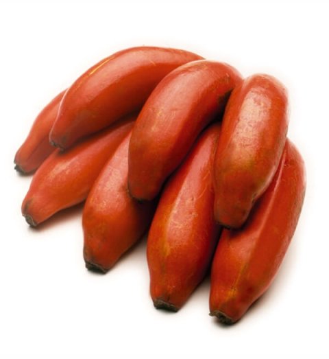 Red Banana – செவ்வாழை