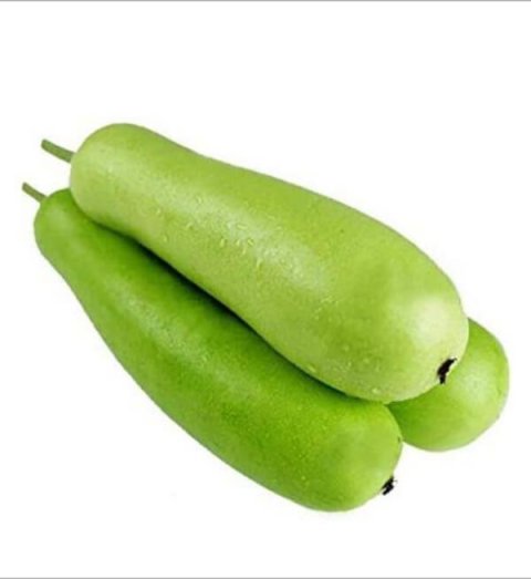 Bottle Gourd – சுரைக்காய்