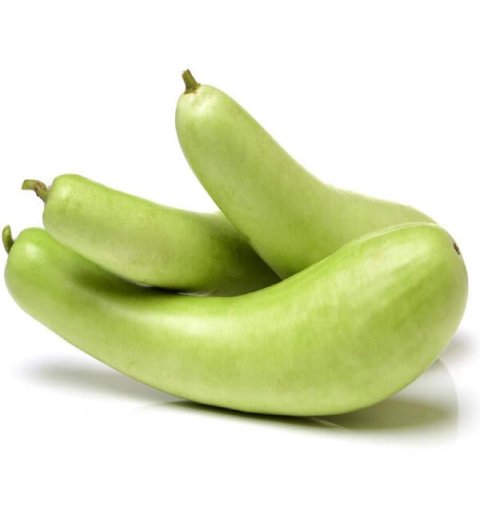 Bottle Gourd – சுரைக்காய்